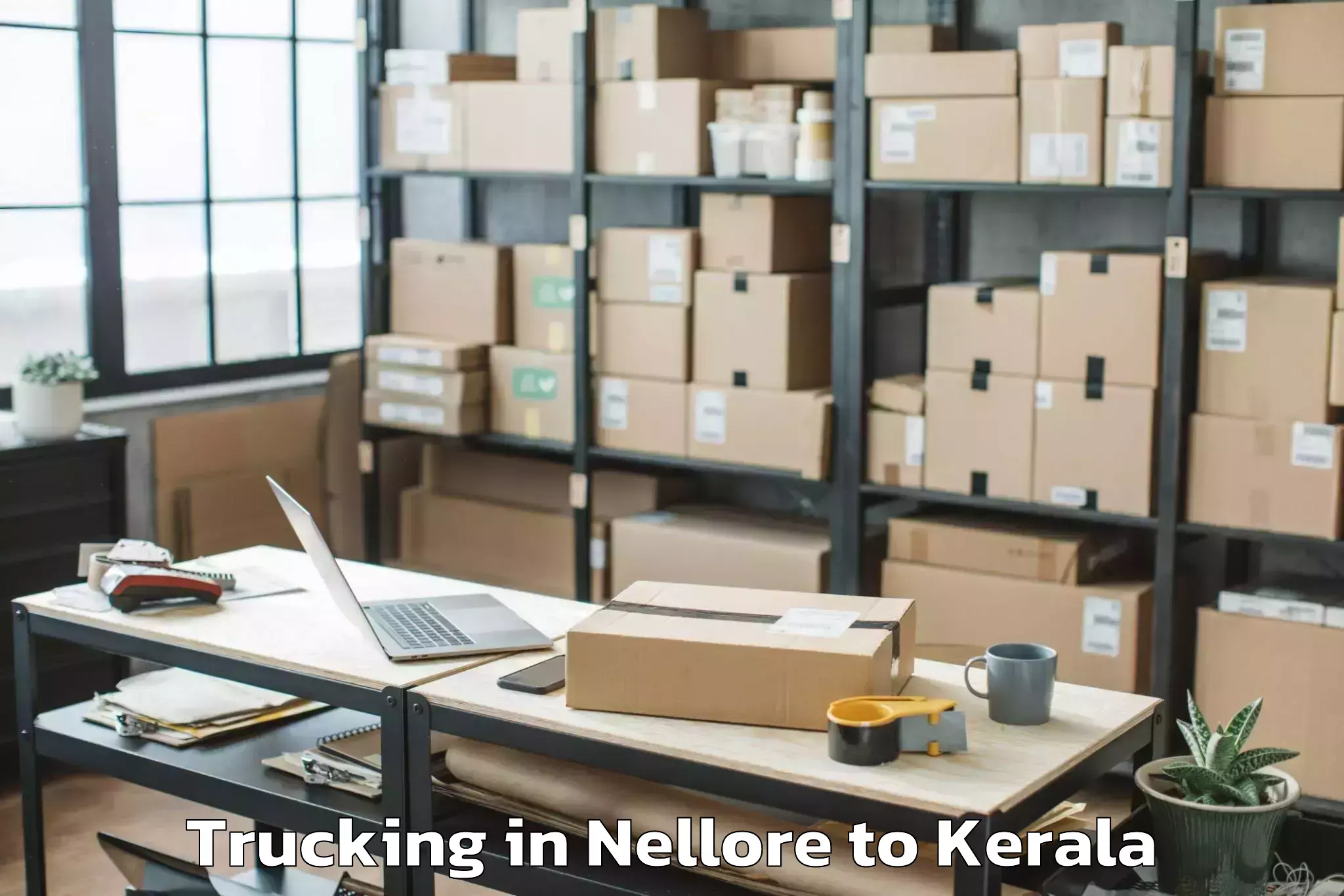 Top Nellore to Kochi Airport Cok Trucking Available